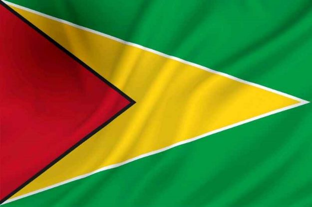 Vlag Guyana - 100x150cm Spun-Poly